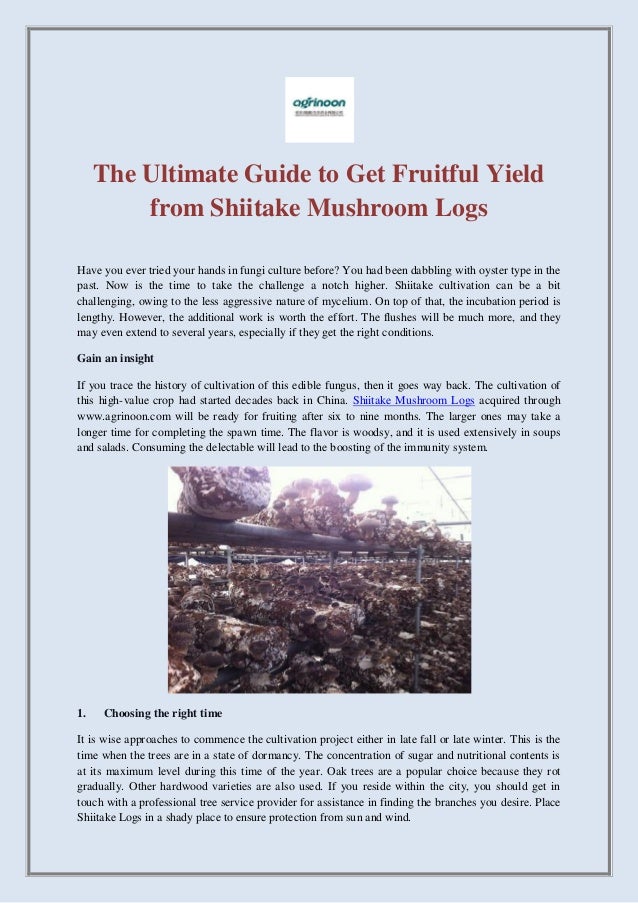 The Ultimate Guide to Get Fruitful Yield
from Shiitake Mushroom Logs
Have you ever tried your hands in fungi culture before? You had been dabbling with oyster type in the
past. Now is the time to take the challenge a notch higher. Shiitake cultivation can be a bit
challenging, owing to the less aggressive nature of mycelium. On top of that, the incubation period is
lengthy. However, the additional work is worth the effort. The flushes will be much more, and they
may even extend to several years, especially if they get the right conditions.
Gain an insight
If you trace the history of cultivation of this edible fungus, then it goes way back. The cultivation of
this high-value crop had started decades back in China. Shiitake Mushroom Logs acquired through
www.agrinoon.com will be ready for fruiting after six to nine months. The larger ones may take a
longer time for completing the spawn time. The flavor is woodsy, and it is used extensively in soups
and salads. Consuming the delectable will lead to the boosting of the immunity system.
1. Choosing the right time
It is wise approaches to commence the cultivation project either in late fall or late winter. This is the
time when the trees are in a state of dormancy. The concentration of sugar and nutritional contents is
at its maximum level during this time of the year. Oak trees are a popular choice because they rot
gradually. Other hardwood varieties are also used. If you reside within the city, you should get in
touch with a professional tree service provider for assistance in finding the branches you desire. Place
Shiitake Logs in a shady place to ensure protection from sun and wind.
 