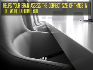 The Ultimate Guide To Good Posture