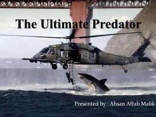 The Ultimate Predator Presented by : Ahsan AftabMalik 