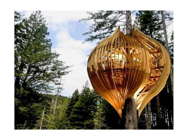 Tree House Art Project