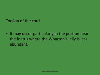 Torsion of the cordIt may occur particularly in the portion near the foetus where the Wharton's jelly is less abundant.www.freelivedoctor.com