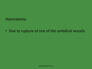 HaematomaDue to rupture of one of the umbilical vessels.www.freelivedoctor.com