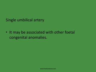 Single umbilical arteryIt may be associated with other foetal congenital anomalies.www.freelivedoctor.com