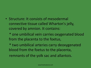 Structure: It consists of mesodermal connective tissue called Wharton's jelly, covered by amnion. It contains:    * one umbilical vein carries oxygenated blood from the placenta to the foetus,    * two umbilical arteries carry deoxygenated blood from the foetus to the placenta,    remnants of the yolk sac and allantois.www.freelivedoctor.com