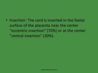 Insertion: The cord is inserted in the foetal surface of the placenta near the center "eccentric insertion" (70%) or at the center "central insertion" (30%).www.freelivedoctor.com