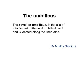 The umbilicus
The navel, or umbilicus, is the site of
attachment of the fetal umbilical cord
and is located along the linea alba.
Dr M Idris Siddiqui
 