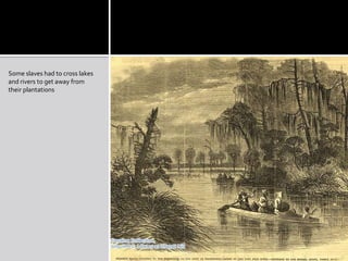 Some slaves had to cross lakes and rivers to get away from their plantations 