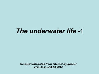 The underwater life  -1 Created with potos from Internet by gabriel voiculescu/04.03.2010 
