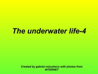 The underwater life-4 Created by gabriel voiculescu with photos from INTERNET 
