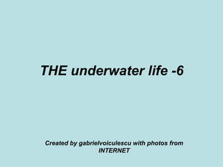 THE underwater life -6 Created by gabrielvoiculescu with photos from INTERNET 