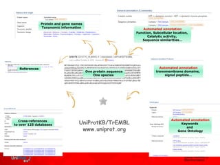 Uniprot Domain The uni prot knowledgebase | PPT