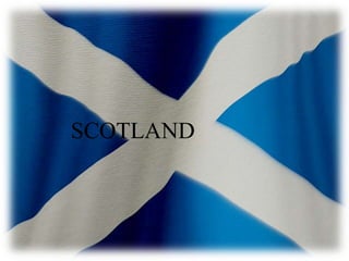 The highest temperature EVER recorded in England was 38°C