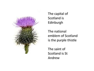 Policemen in England don’t carry guns