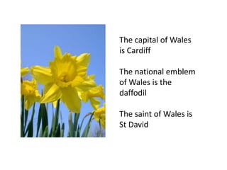 The Highland Games(traditional athletics championship)SPORT IN SCOTLANDRugby