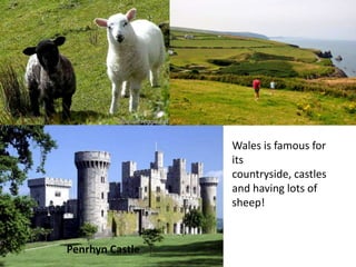 DID YOU KNOW...Scotland has nearly 800 islands