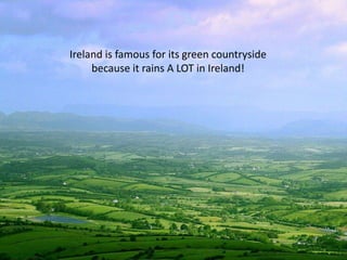 Wales is famous for its countryside, castles and having lots of sheep!Penrhyn Castle