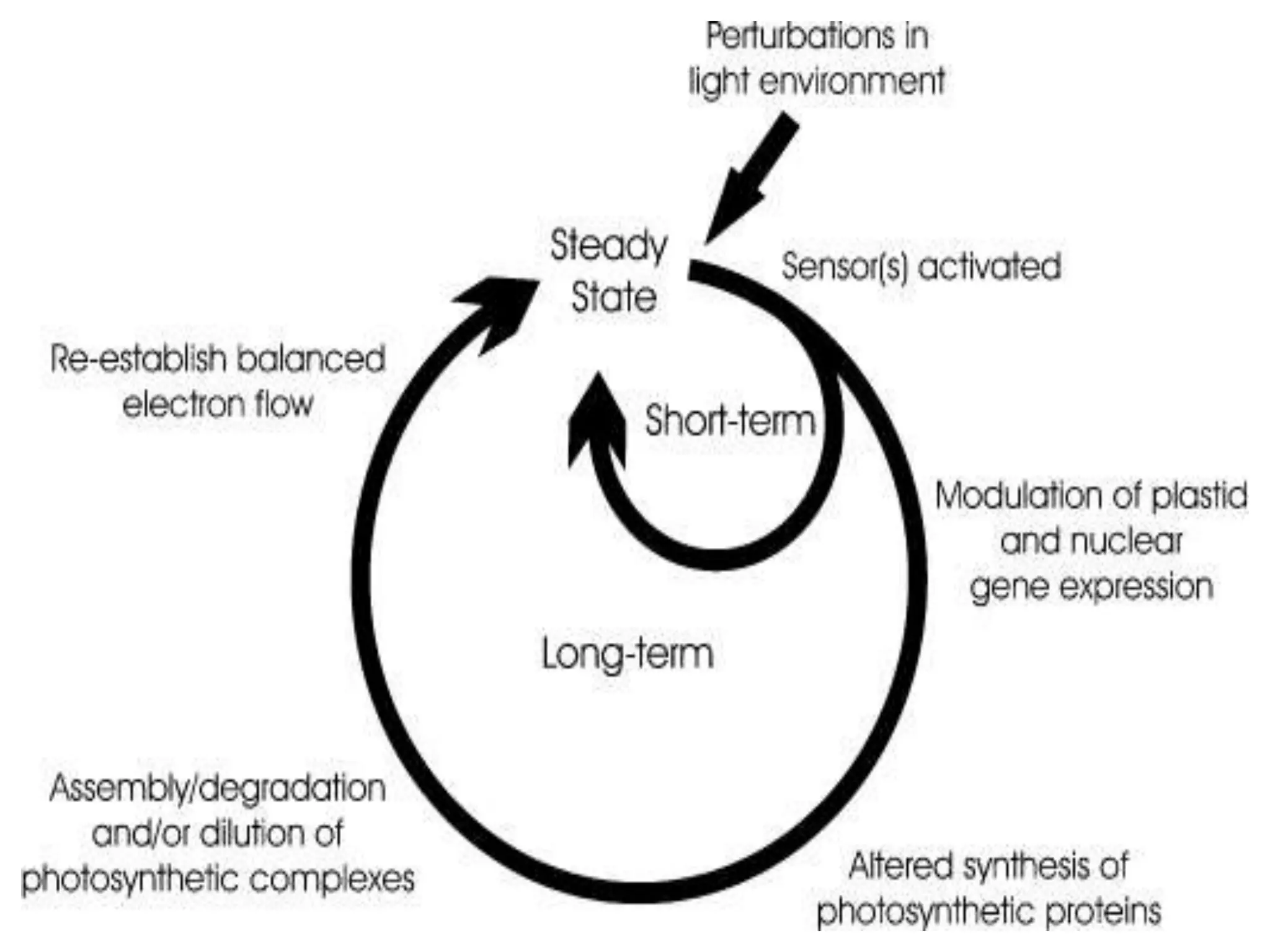 Theories explaining the origin of the universe.