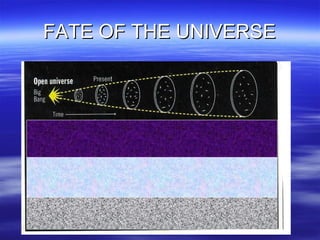 FATE OF THE UNIVERSE 