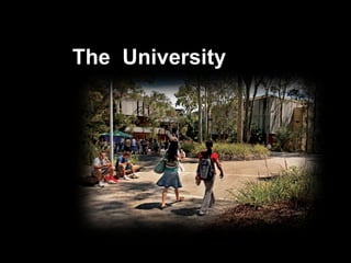 The University
 