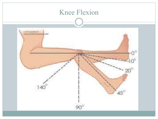 Knee Flexion
 