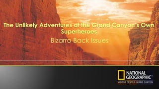 The Unlikely Adventures of the Grand Canyon’s Own
Superheroes
Bizarro Back Issues
 