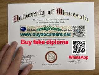 the U of M diploma