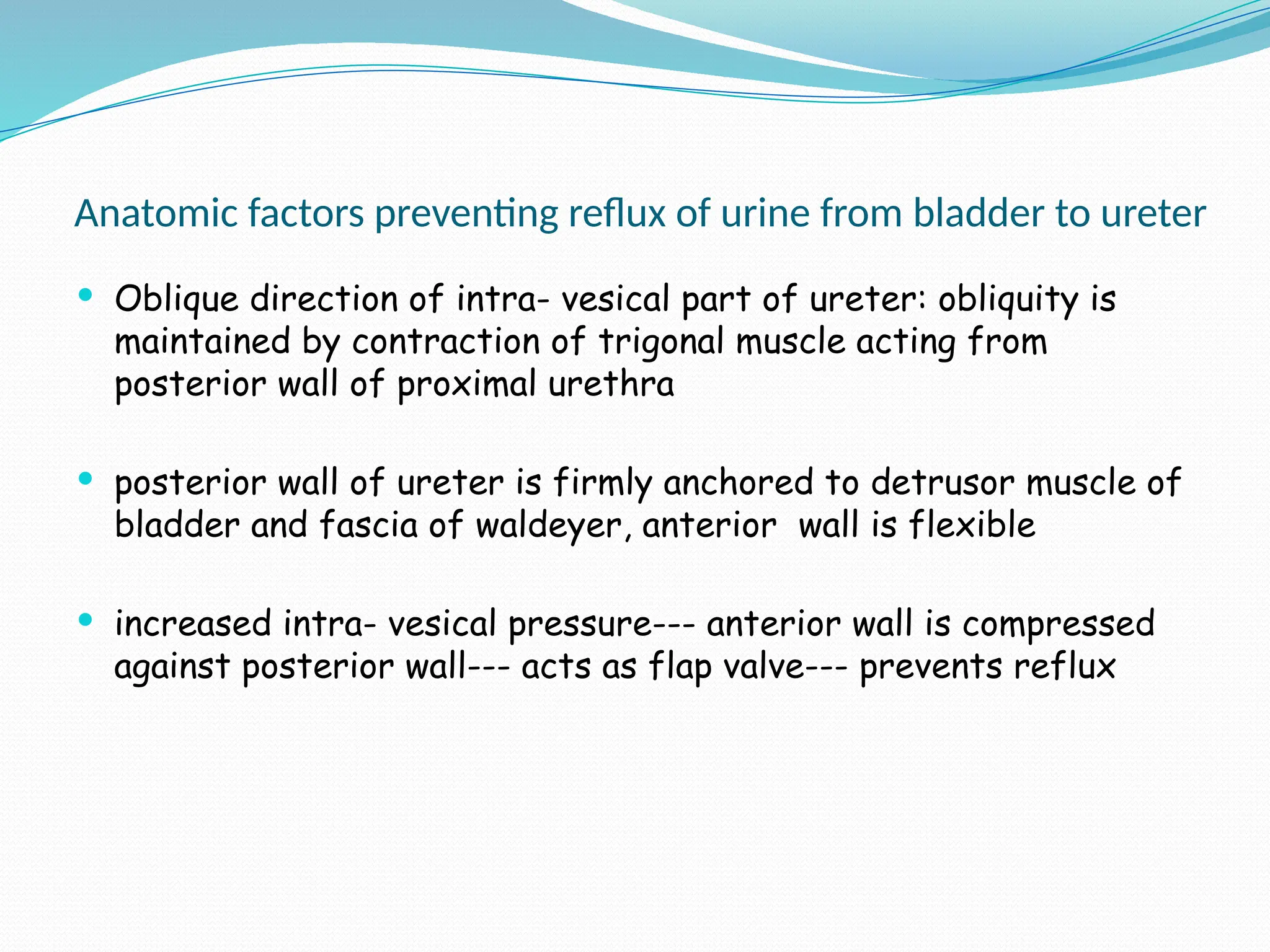Anatomic factors preventing reflux of urine from bladder to ureter
 Oblique direction of intra- vesical part of ureter: obliquity is
maintained by contraction of trigonal muscle acting from
posterior wall of proximal urethra
 posterior wall of ureter is firmly anchored to detrusor muscle of
bladder and fascia of waldeyer, anterior wall is flexible
 increased intra- vesical pressure--- anterior wall is compressed
against posterior wall--- acts as flap valve--- prevents reflux
 