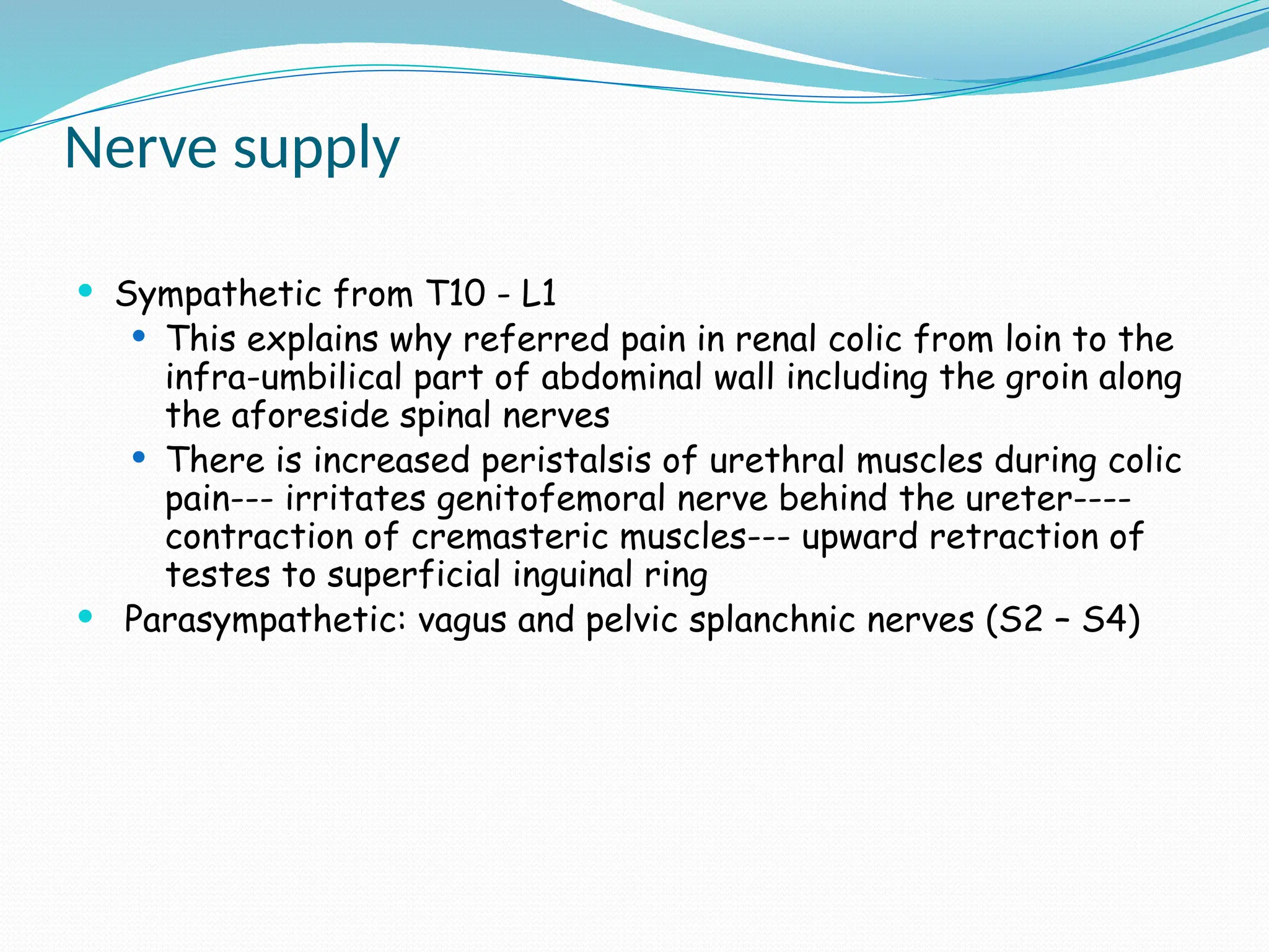 Nerve supply
 Sympathetic from T10 - L1
 This explains why referred pain in renal colic from loin to the
infra-umbilical part of abdominal wall including the groin along
the aforeside spinal nerves
 There is increased peristalsis of urethral muscles during colic
pain--- irritates genitofemoral nerve behind the ureter----
contraction of cremasteric muscles--- upward retraction of
testes to superficial inguinal ring
 Parasympathetic: vagus and pelvic splanchnic nerves (S2 – S4)
 