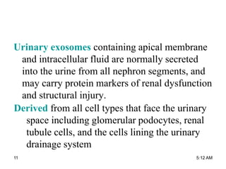 Urinary exosomes containing apical membrane
and intracellular fluid are normally secreted
into the urine from all nephron segments, and
may carry protein markers of renal dysfunction
and structural injury.
Derived from all cell types that face the urinary
space including glomerular podocytes, renal
tubule cells, and the cells lining the urinary
drainage system
5:12 AM11
 