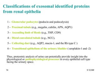 Classifications of exosomal identified proteins
from renal epithelia
1 - Glomerular podocytes (podocin and podocalyxin)
2 - Proximal tubule (e.g., megalin, cubilin, APN, AQP1)
3 - Ascending limb of Henle (e.g., THP, CD9)
4 - Distal convoluted tubule (e.g., NCC),
5 - Collecting duct (e.g., AQP2, mucin-1, and the Rh type C )
6 - Transitional epithelium of the urinary bladder ( uroplakin-1 and -2)
Thus, proteomic analysis of urine can potentially provide insight into the
physiological or pathophysiological processes in every epithelial cell type
facing the urinary space.
5:12 AM14
 