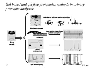 Gel based and gel free proteomics methods in urinary
proteome analyses:
5:12 AM27
 