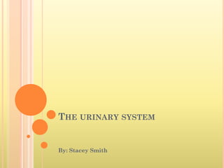 THE URINARY SYSTEM


By: Stacey Smith
 