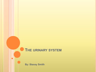 The urinary system  By: Stacey Smith 