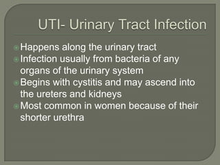  Happens along the urinary tract
Infection usually from bacteria of any
organs of the urinary system
Begins with cystitis and may ascend into
the ureters and kidneys
Most common in women because of their
shorter urethra