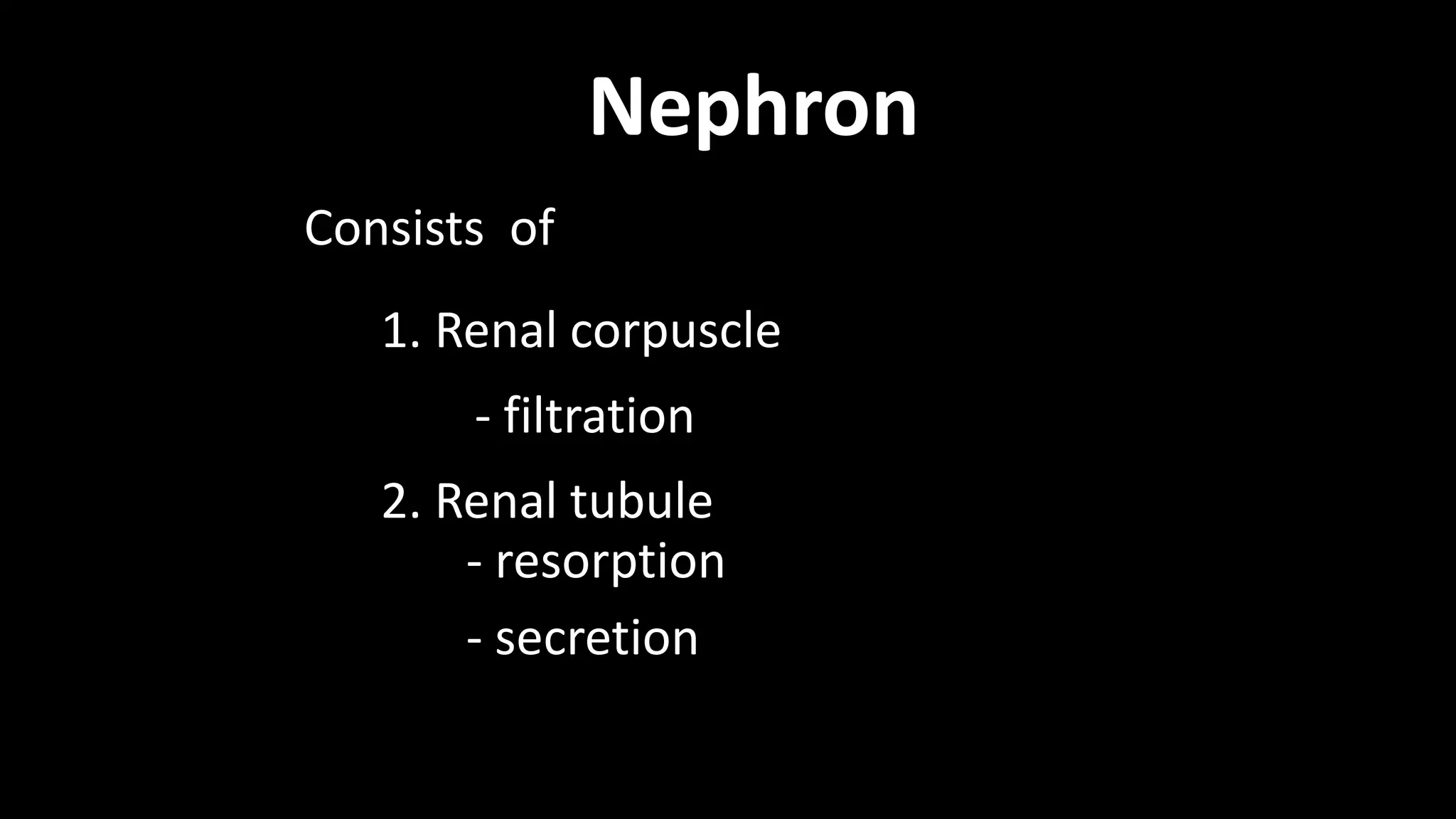 Nephron
Consists of
1. Renal corpuscle
2. Renal tubule
- filtration
- resorption
- secretion
 