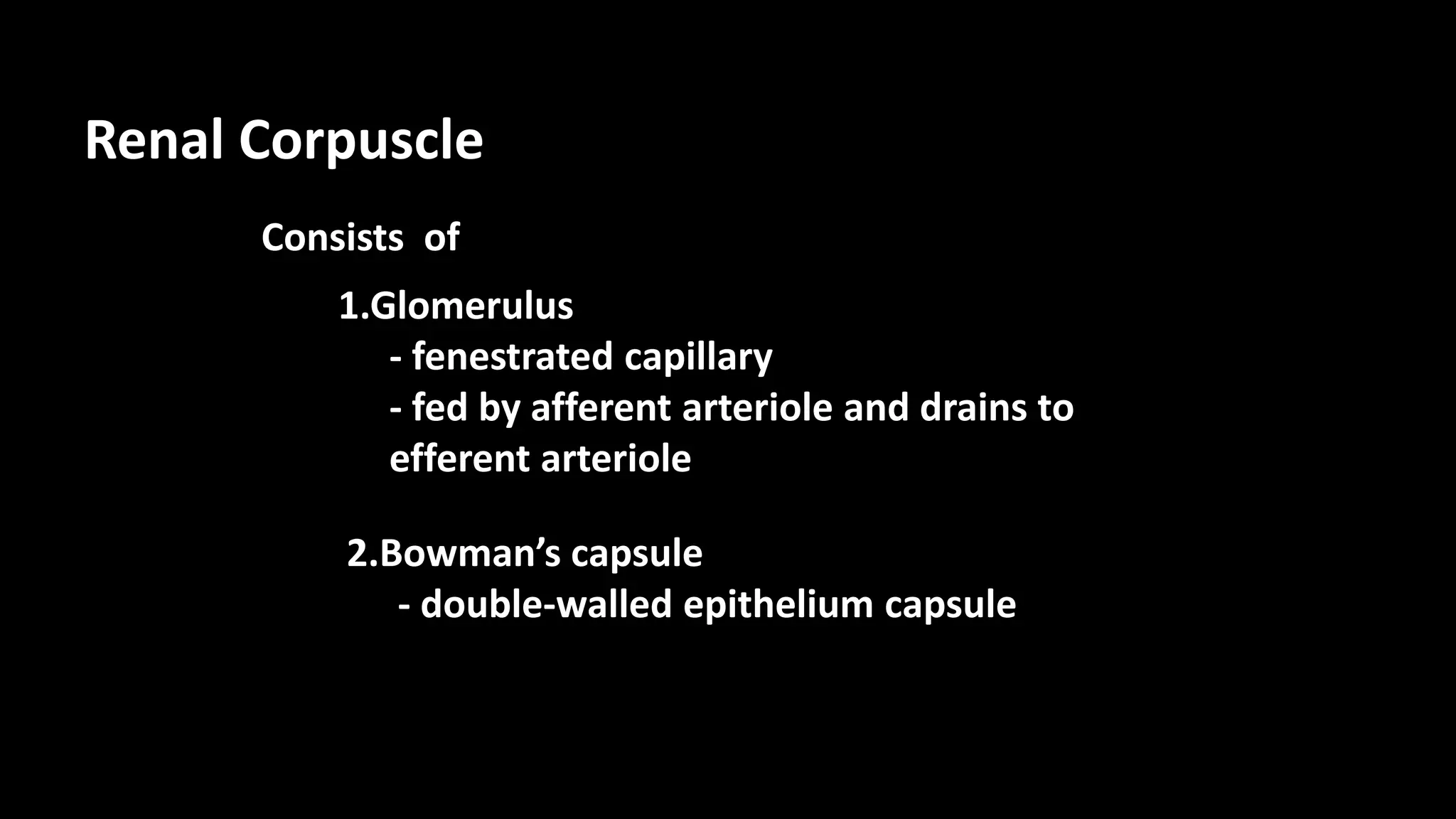 Renal Corpuscle
Consists of
1.Glomerulus
2.Bowman’s capsule
- fenestrated capillary
- fed by afferent arteriole and drains to
efferent arteriole
- double-walled epithelium capsule
 