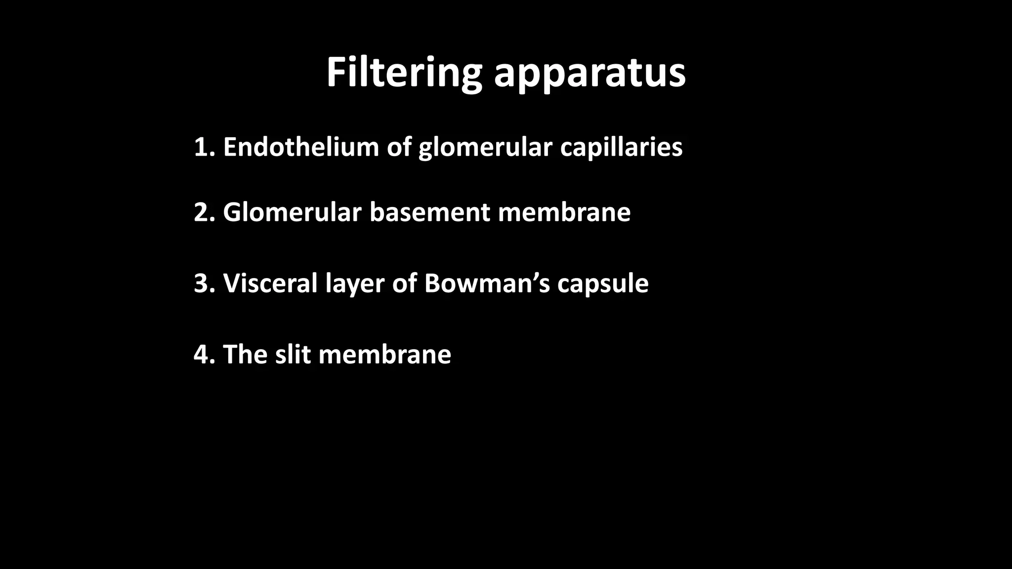 Filtering apparatus
1. Endothelium of glomerular capillaries
2. Glomerular basement membrane
3. Visceral layer of Bowman’s capsule
4. The slit membrane
 