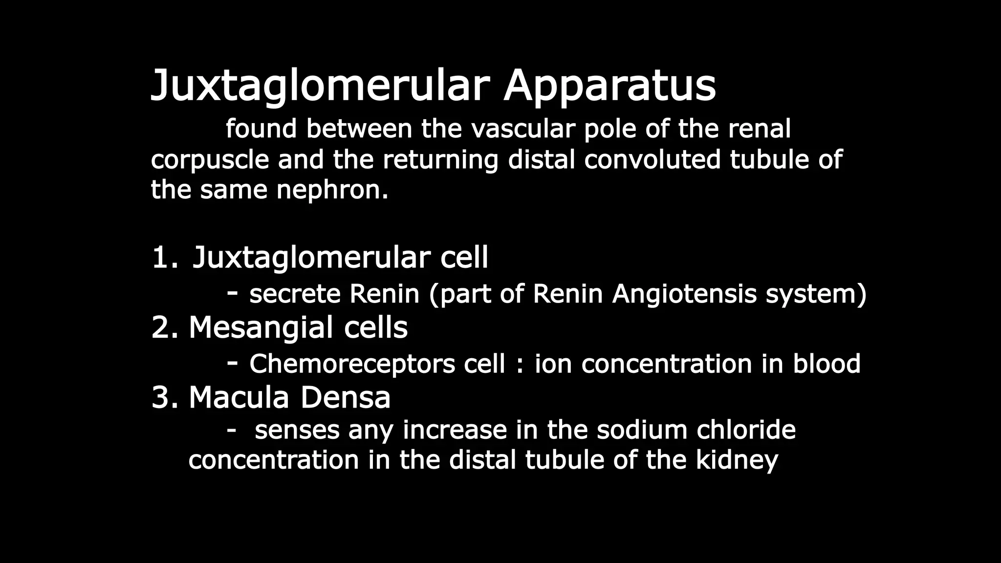 Juxtaglomerular Apparatus
found between the vascular pole of the renal
corpuscle and the returning distal convoluted tubule of
the same nephron.
1. Juxtaglomerular cell
- secrete Renin (part of Renin Angiotensis system)
2. Mesangial cells
- Chemoreceptors cell : ion concentration in blood
3. Macula Densa
- senses any increase in the sodium chloride
concentration in the distal tubule of the kidney
 