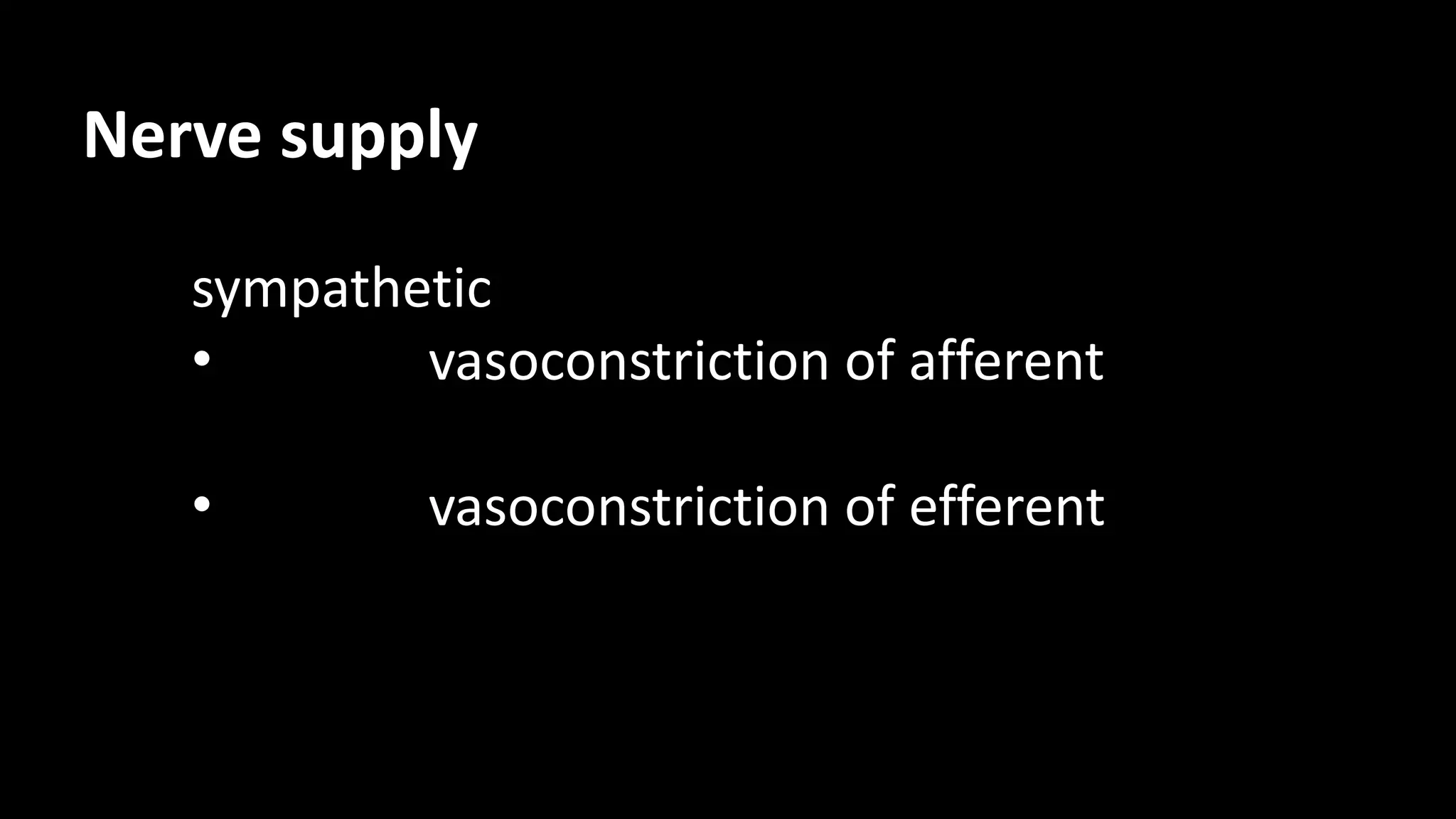 Nerve supply
sympathetic
• vasoconstriction of afferent
• vasoconstriction of efferent
 