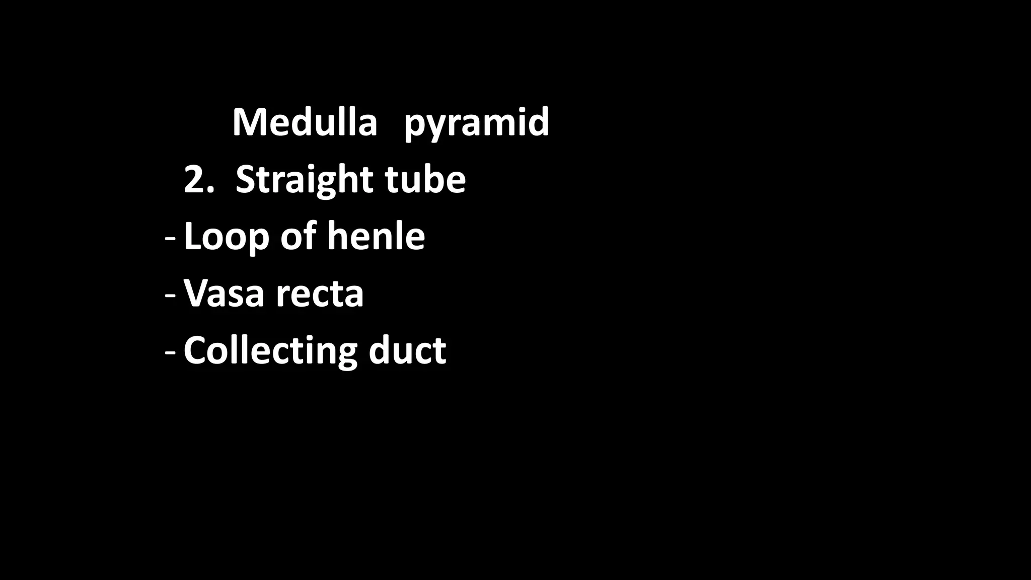 Medulla pyramid
2. Straight tube
-Loop of henle
-Vasa recta
-Collecting duct
 
