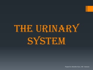 The URInary
System
 