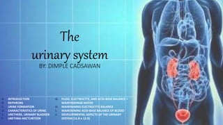 The
urinary system
BY: DIMPLE CADSAWAN
A. INTRODUCTION
B. NEPHRONS
C. URINE FORMATION
D. CHARACTERISTICS OF URINE
E. URETHERS, URINARY BLADDER
F. URETHRA-MICTURITION
G. FLUID, ELECTROCYTE, AND ACID-BASE BALANCE +
MAINTAININGB WATER
H. MAINTAINING ELECTROCYTE BALANCE
I. MAINTAINING ACID-BASE BALANCE OF BLOOD
J. DEVELOPMENTAL ASPECTS OF THE URINARY
SYSTEM (15.8 n 15.9)
 