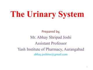 The Urinary System
Prepared by,
Mr. Abhay Shripad Joshi
Assistant Professor
Yash Institute of Pharmacy, Aurangabad
abhay.joshirss@gmail.com
1
 