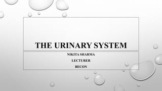 THE URINARY SYSTEM
NIKITA SHARMA
LECTURER
BECON
 