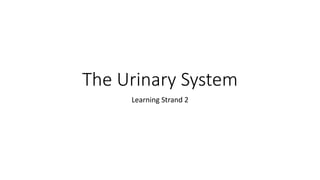 The Urinary System
Learning Strand 2
 