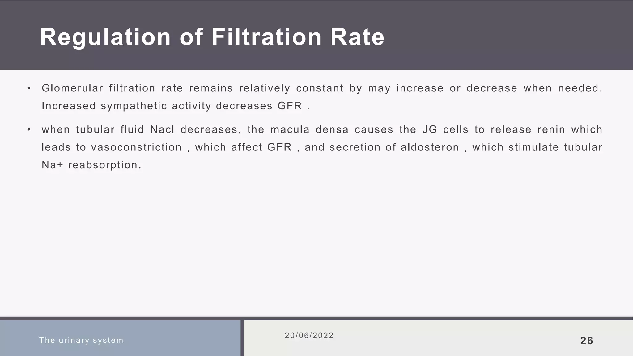 Regulation of Filtration Rate
• Glomerular filtration rate remains relatively constant by may increase or decrease when needed.
Increased sympathetic activity decreases GFR .
• when tubular fluid Nacl decreases, the macula densa causes the JG cells to release renin which
leads to vasoconstriction , which affect GFR , and secretion of aldosteron , which stimulate tubular
Na+ reabsorption.
The urinary system
20/06/2022
26
 