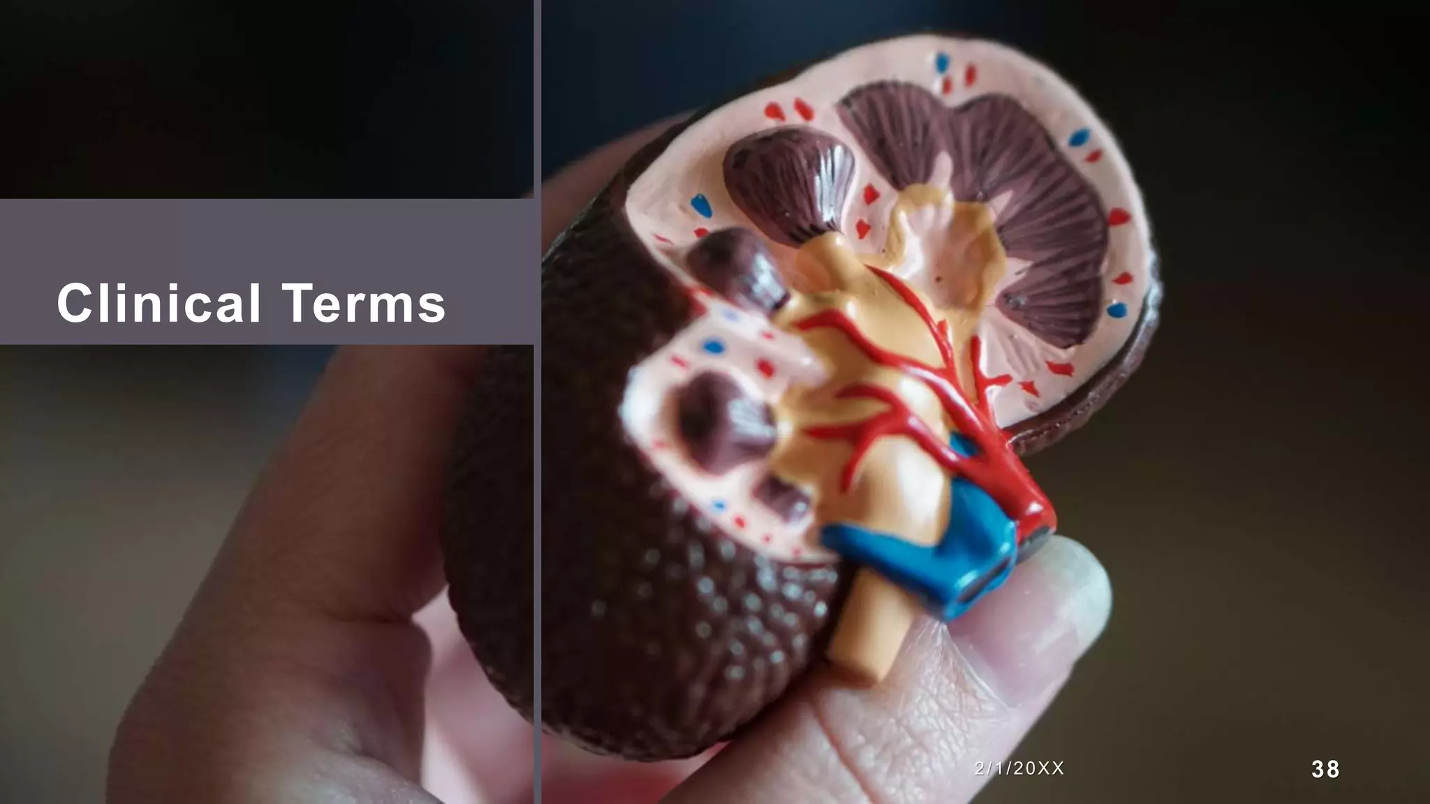 Clinical Terms
2/1/20XX 38
 