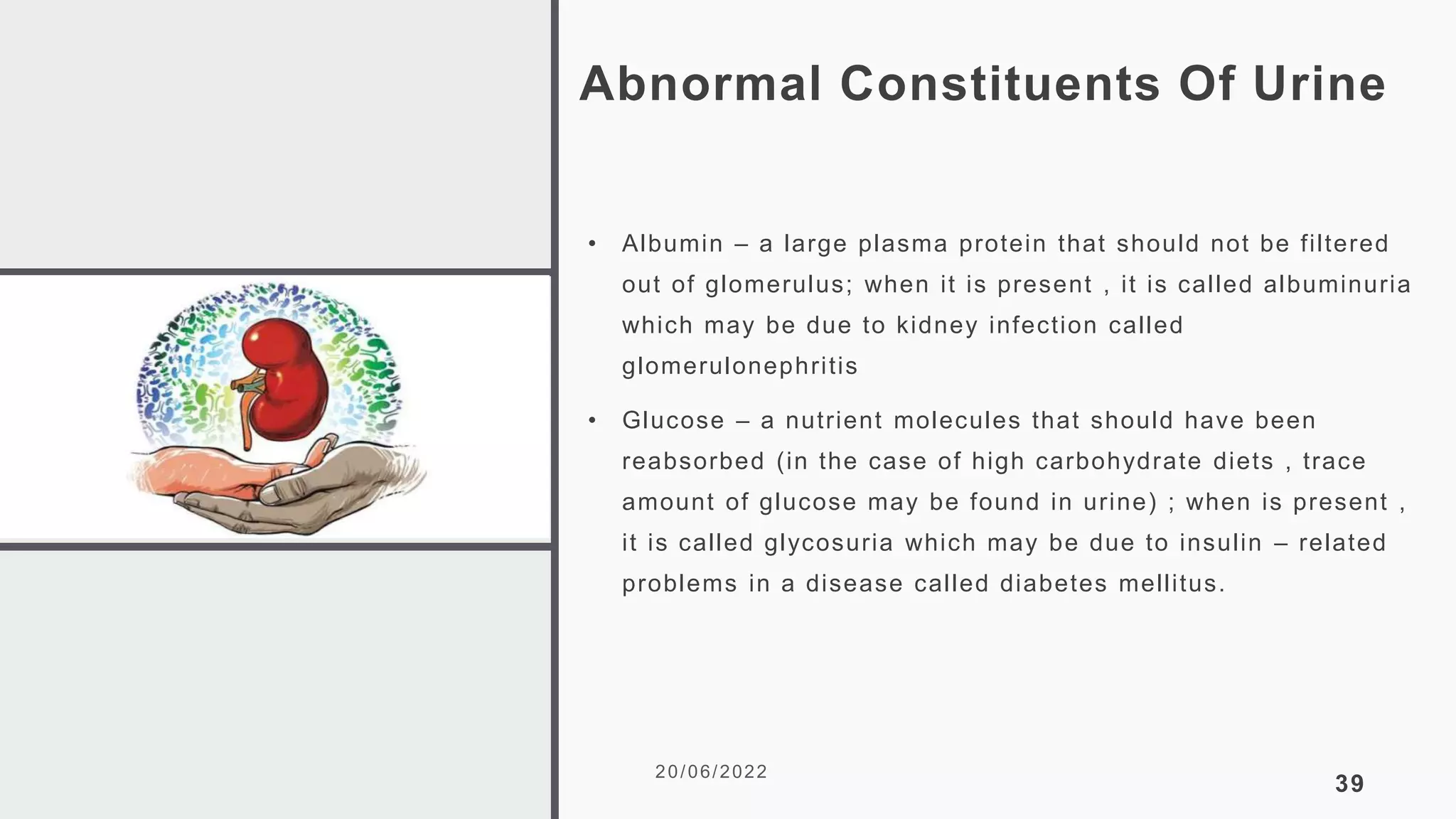 Abnormal Constituents Of Urine
• Albumin – a large plasma protein that should not be filtered
out of glomerulus; when it is present , it is called albuminuria
which may be due to kidney infection called
glomerulonephritis
• Glucose – a nutrient molecules that should have been
reabsorbed (in the case of high carbohydrate diets , trace
amount of glucose may be found in urine) ; when is present ,
it is called glycosuria which may be due to insulin – related
problems in a disease called diabetes mellitus.
20/06/2022
39
 