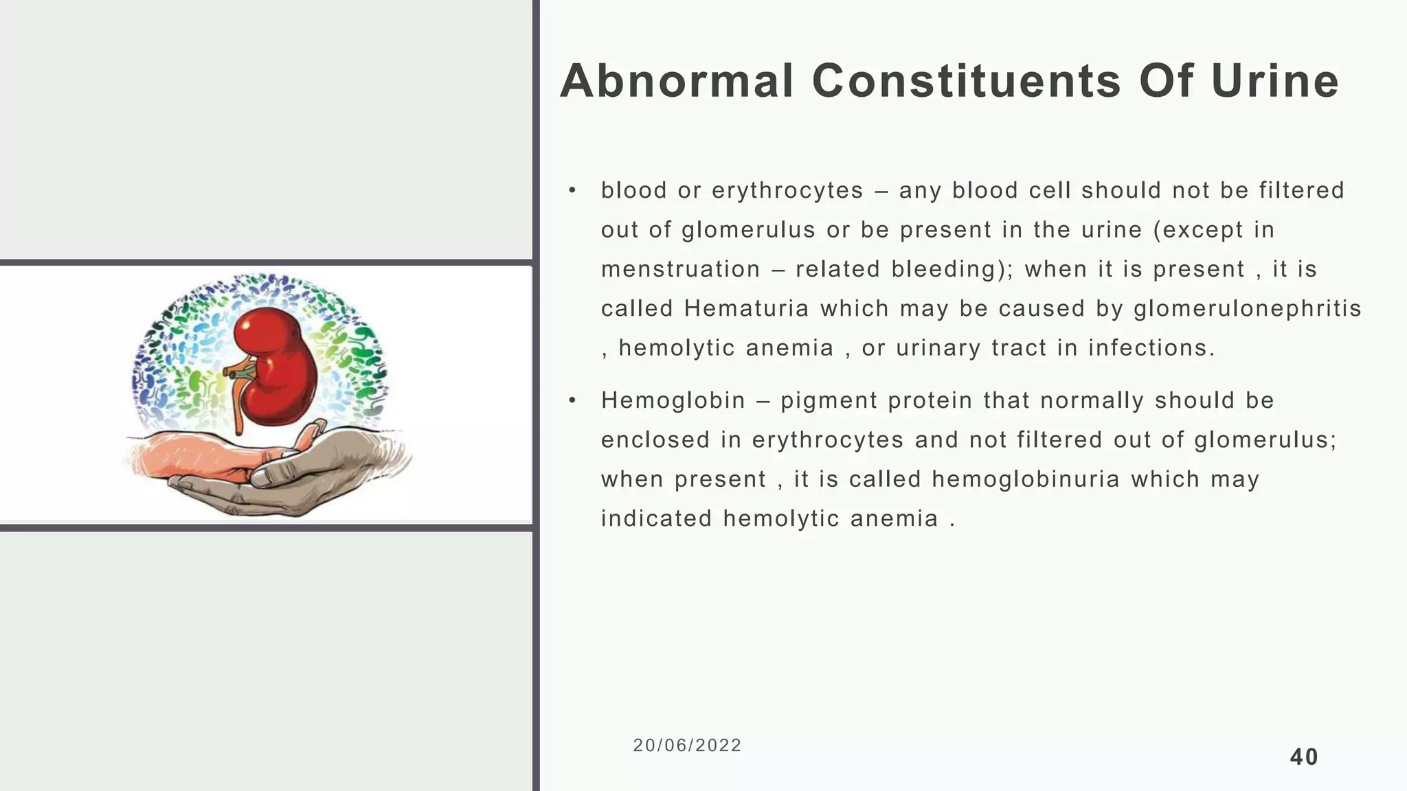 Abnormal Constituents Of Urine
• blood or erythrocytes – any blood cell should not be filtered
out of glomerulus or be present in the urine (except in
menstruation – related bleeding); when it is present , it is
called Hematuria which may be caused by glomerulonephritis
, hemolytic anemia , or urinary tract in infections.
• Hemoglobin – pigment protein that normally should be
enclosed in erythrocytes and not filtered out of glomerulus;
when present , it is called hemoglobinuria which may
indicated hemolytic anemia .
20/06/2022
40
 