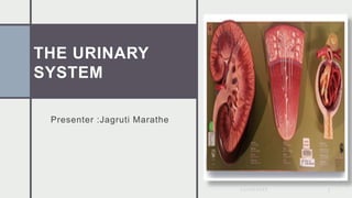 THE URINARY
SYSTEM
Presenter :Jagruti Marathe
20/06/2022 1
 